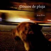 Gossos de pluja