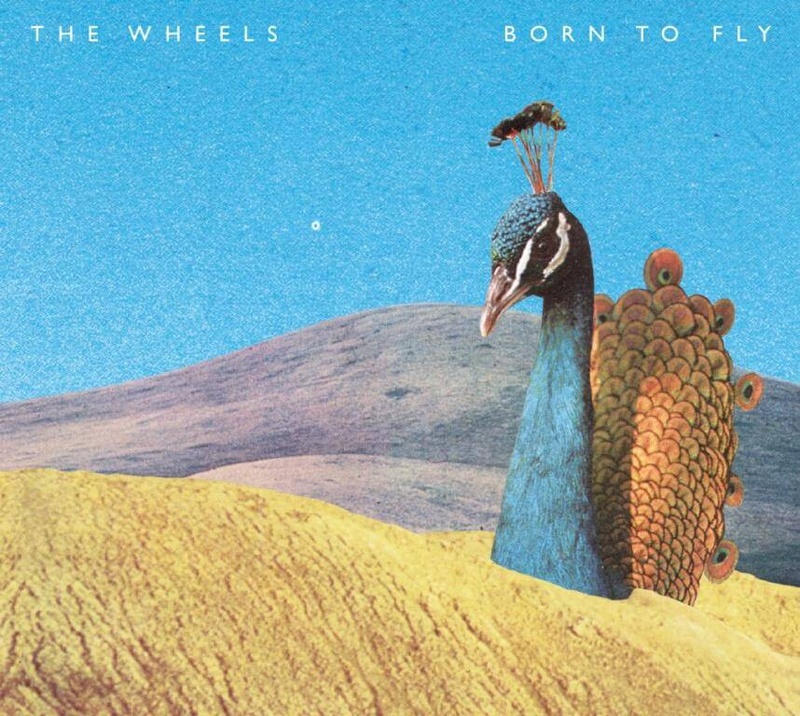 Born to fly