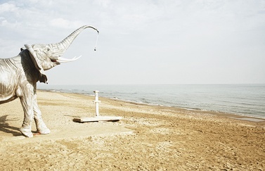 11 fotógrafos de Baleares participan en el festival Les Rencontres de la Photographie en Arles